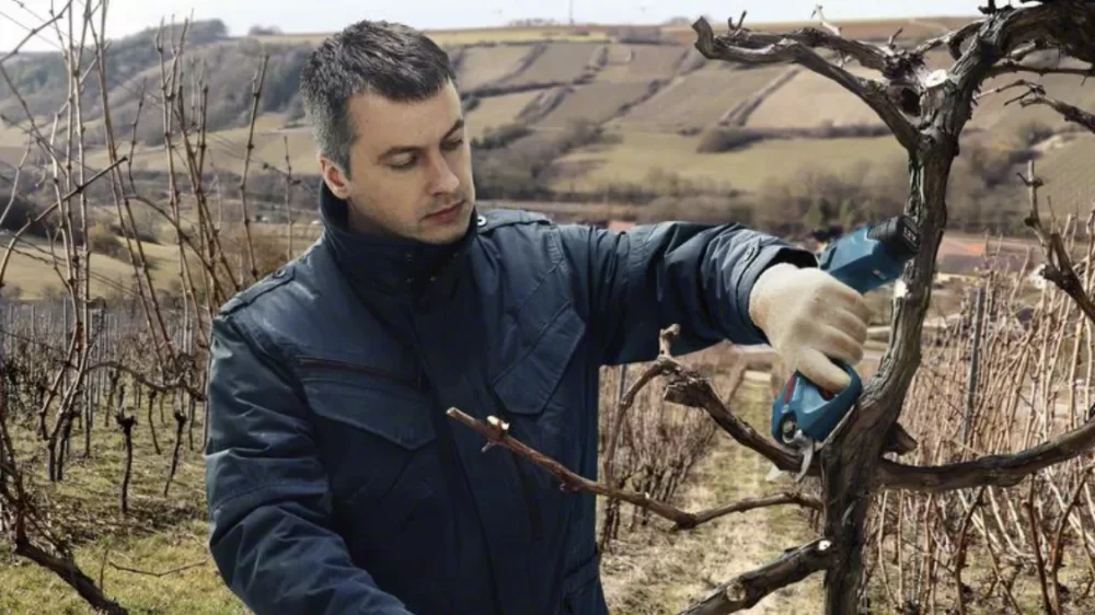 Аккумуляторный секатор Bosch Pro Pruner GAL12V (2х3,0 Ач) №1