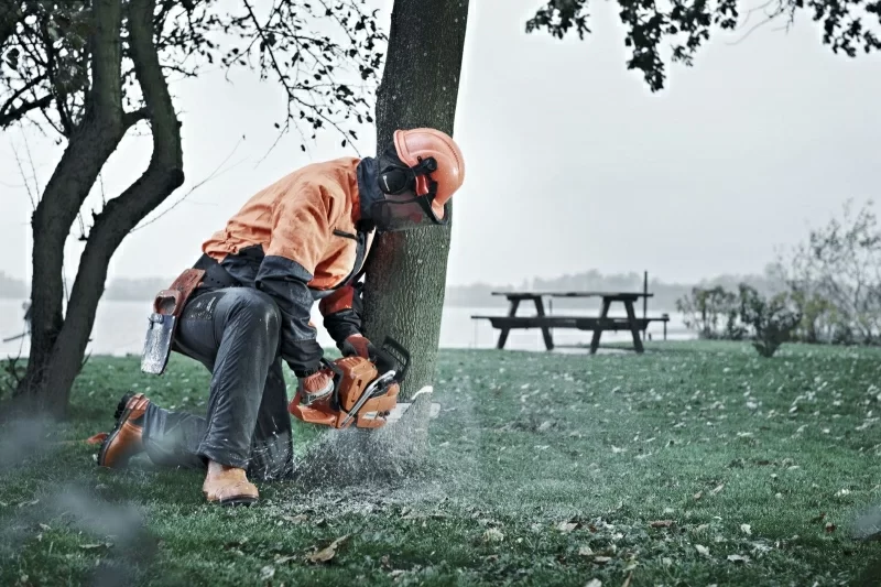 Пила цепная бензиновая Husqvarna 555 15" №4