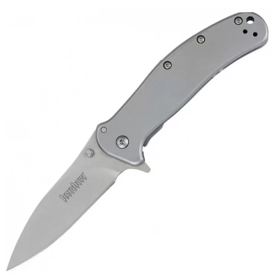 Нож Kershaw Zing (1730SS) – фото №1 Нож Kershaw Zing (1730SS) – №1