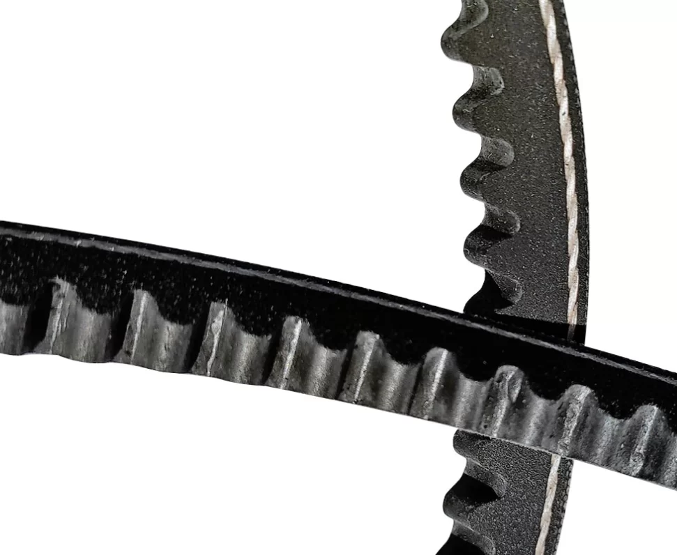 Ремень Z-1525 Белмаш зубчатый – фото №1 Ремень Z-1525 Белмаш зубчатый – №1