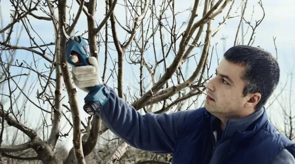 Аккумуляторный секатор Bosch Pro Pruner GAL12V (2х3,0 Ач) №3