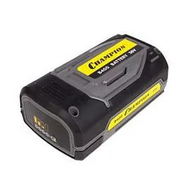 Фото товара «Аккумулятор Champion B400»