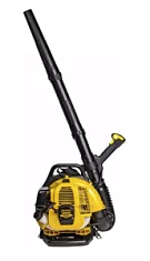 Вы смотрели Воздуходувка бензиновая Champion GBR333