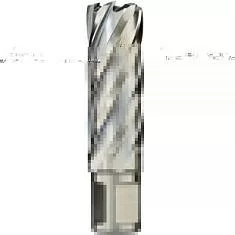 Вы смотрели Фреза Euroboor HSS Ø25/ L 55 мм (HCL250)