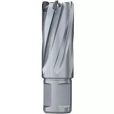 Вы смотрели Фреза Euroboor TCT Ø17/ L 55 мм (HMLU.170/B)