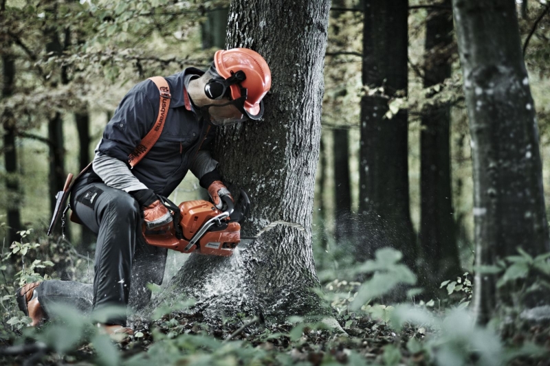 Пила цепная бензиновая Husqvarna 555 15" №3