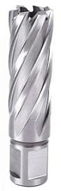 Фото товара «Фреза ПрофОснастка №04 HSS Ø14/ L 55 мм»